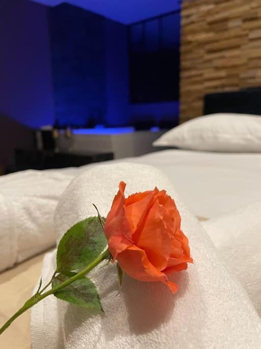 Le Cocon Des Granges - Suite Sauna Jaccuzi Spa Bonnieres-sur-Seine ภายนอก รูปภาพ
